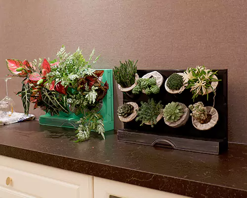 De kleurrijke bloempotten geven mijn planten elke dag het gevoel dat ze op vakantie zijn