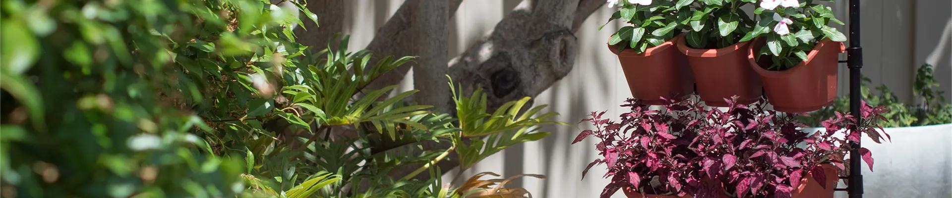 Eco-tuinieren Verticale tuin