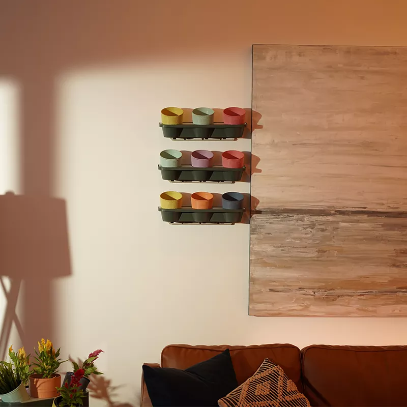 Eco Tuinieren Verticale Tuin Bloempot