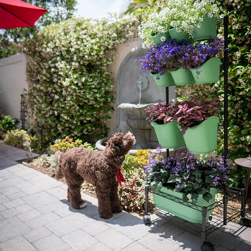 Metalen mobiele groene muur dubbel frame Metalen mobiele groene muur dubbel frame