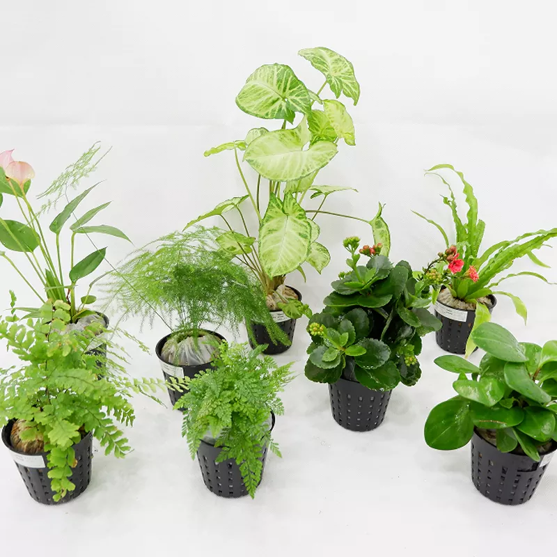 PP-materiaal 3 inch binnenbak